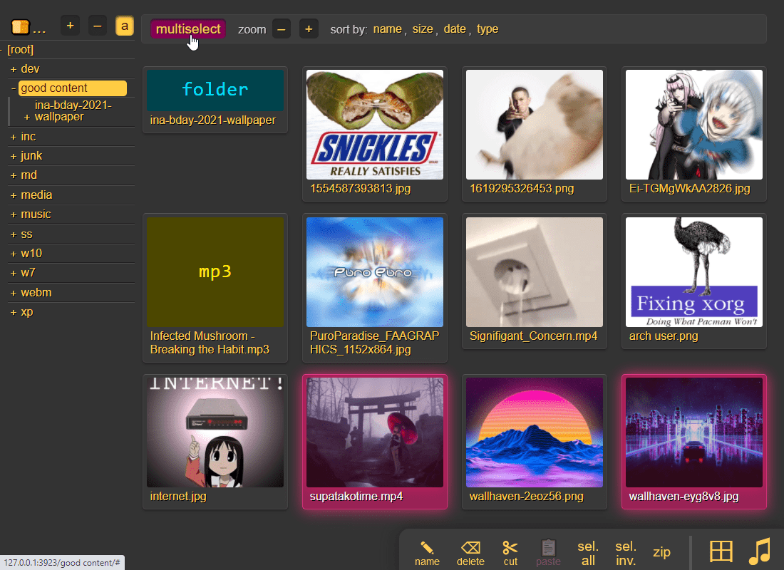 The copyparty webapp opened , showing a grid of image
thumbnails